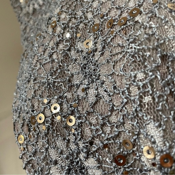 Alex Evenings Taupe Formal Gown Black Tie Wedding Guest Prom Sequin Lace 10. - Picture 4 of 8